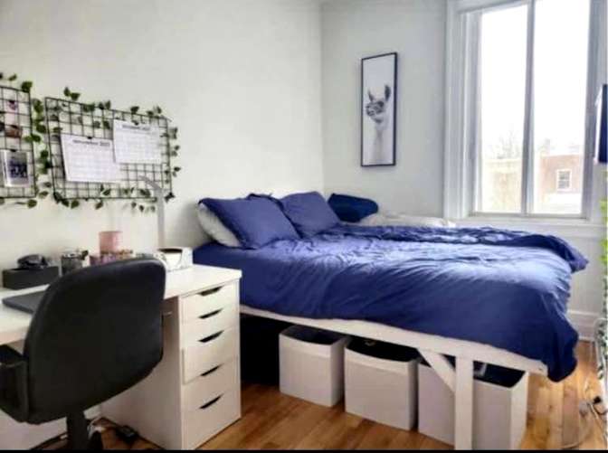 Jila's room