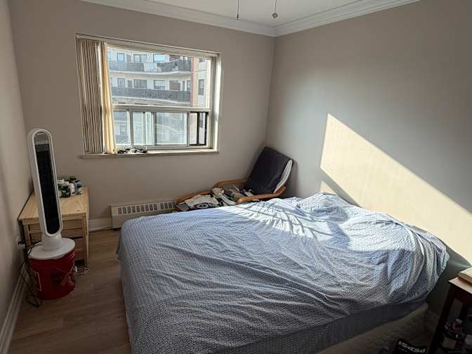 Shaky's room