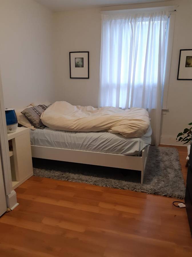 Moh's room