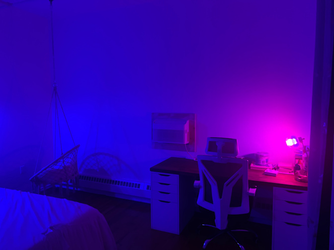 Calvin's room