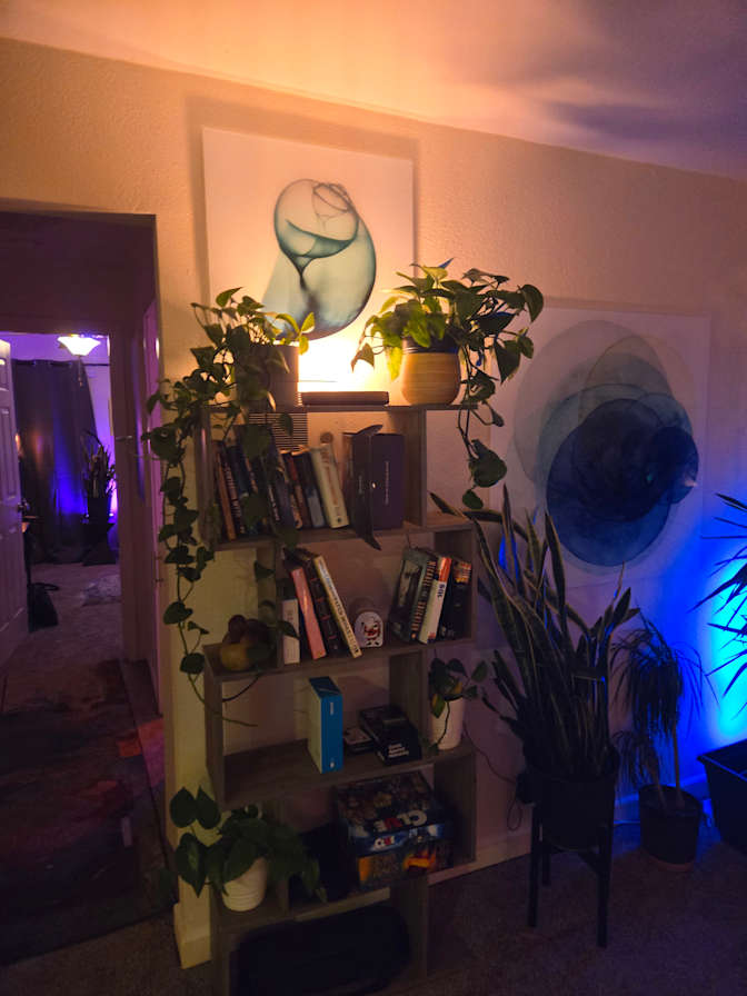 Travis's room