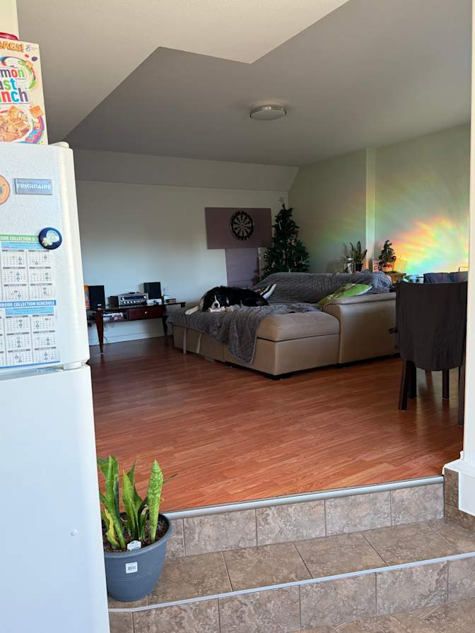 Shyanne's room