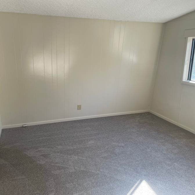 Solomon's room