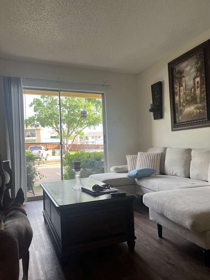 Candace Kosakofsky's room