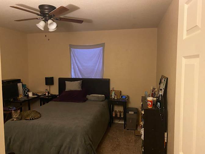 Cassidy's room