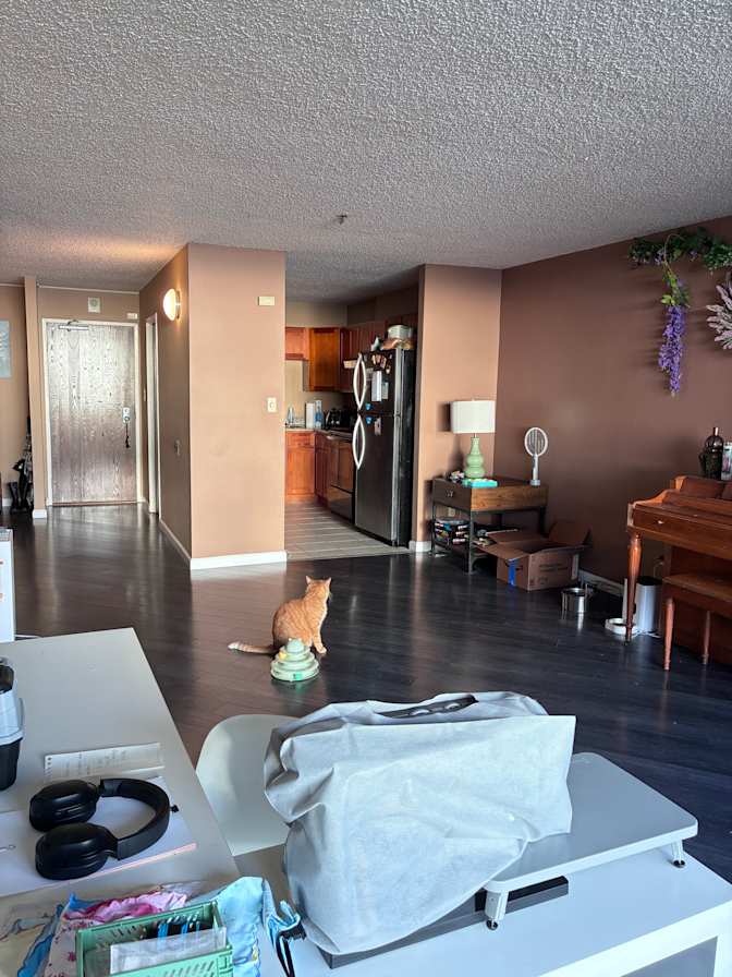 Rachel's room