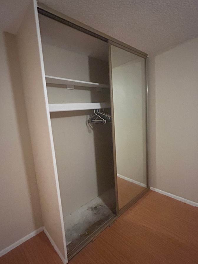 Donna's room