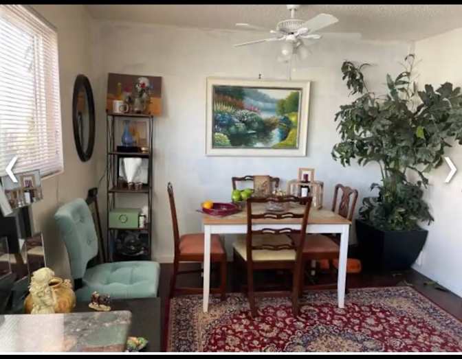 Vida's room