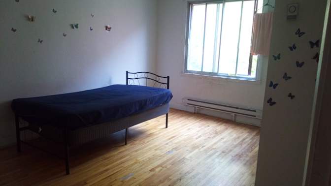 Daniel's room