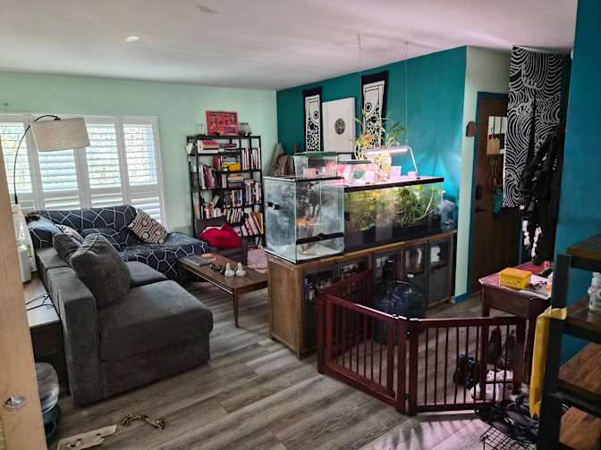 Nicole Chen's room