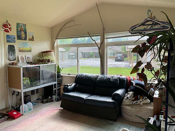 Alex's room
