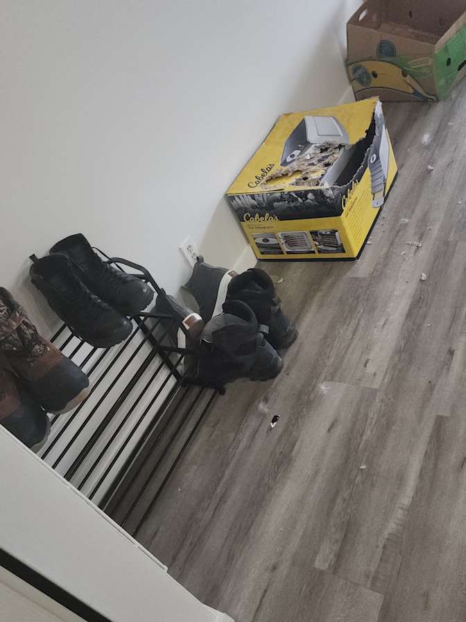 Brandon's room