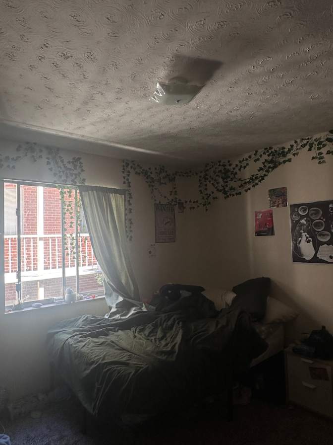 Lily's room