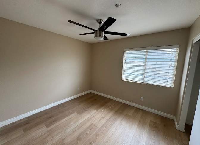 Stephen's room