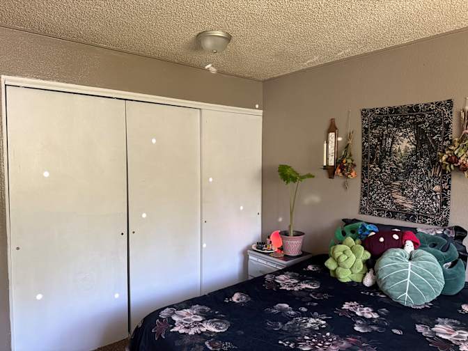 Hayli's room