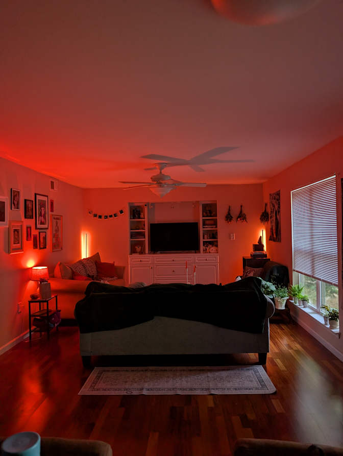 Bailey's room