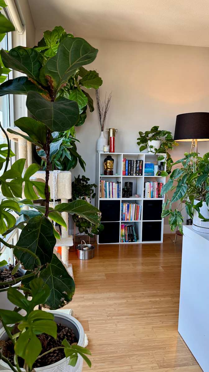 Kristen's room