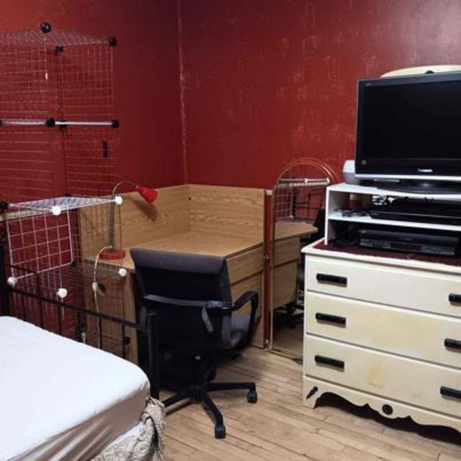 Ryschell Dragunov's room