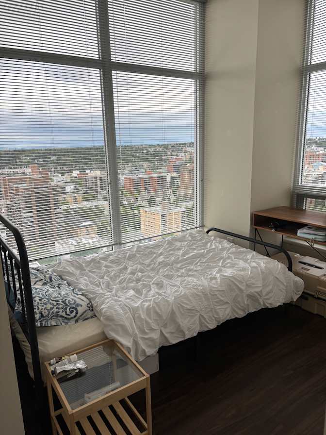 Lily's room