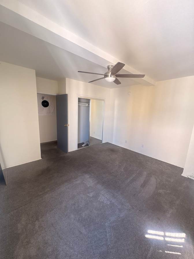 Shelton Taylor's room