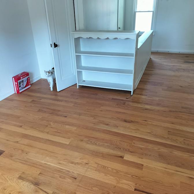 sharon crane's room