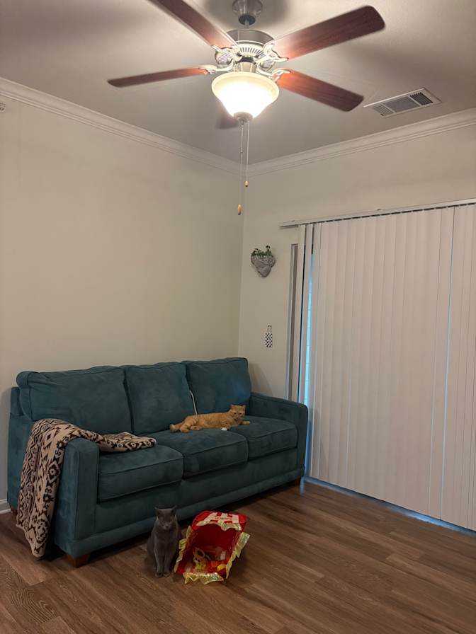 Leeda's room