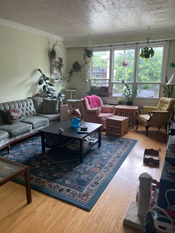 Jess Vanderfleet's room