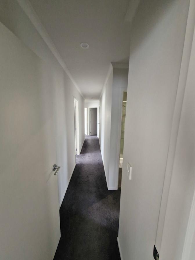 Shane's room