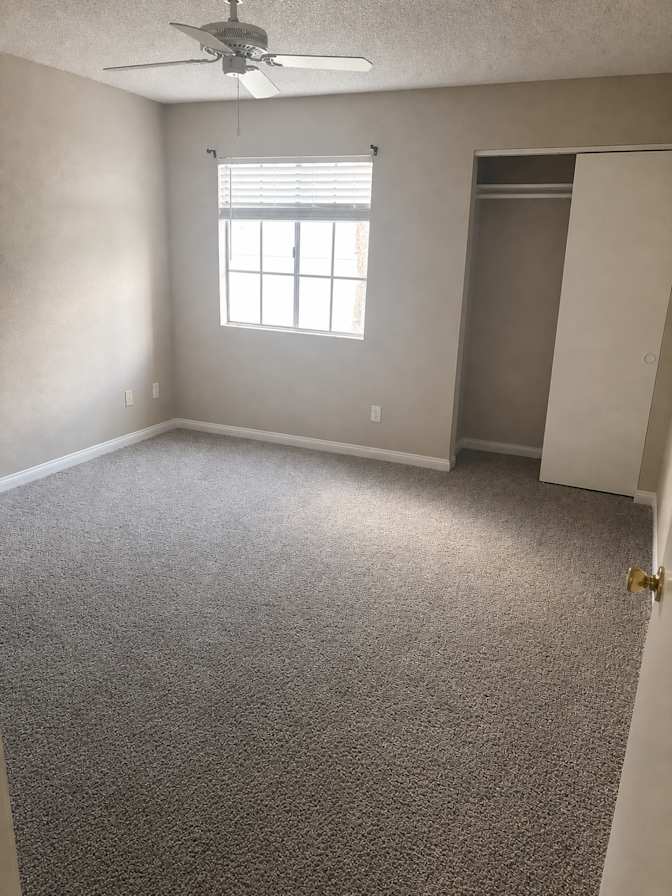 Monea's room