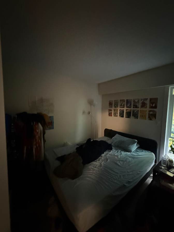 Nemo's room