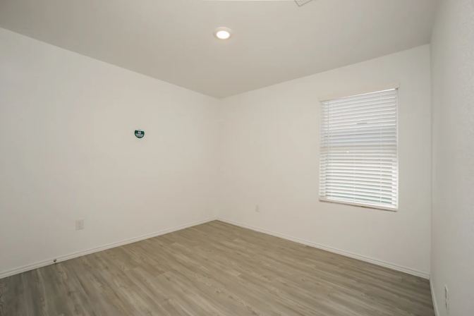 solomon's room