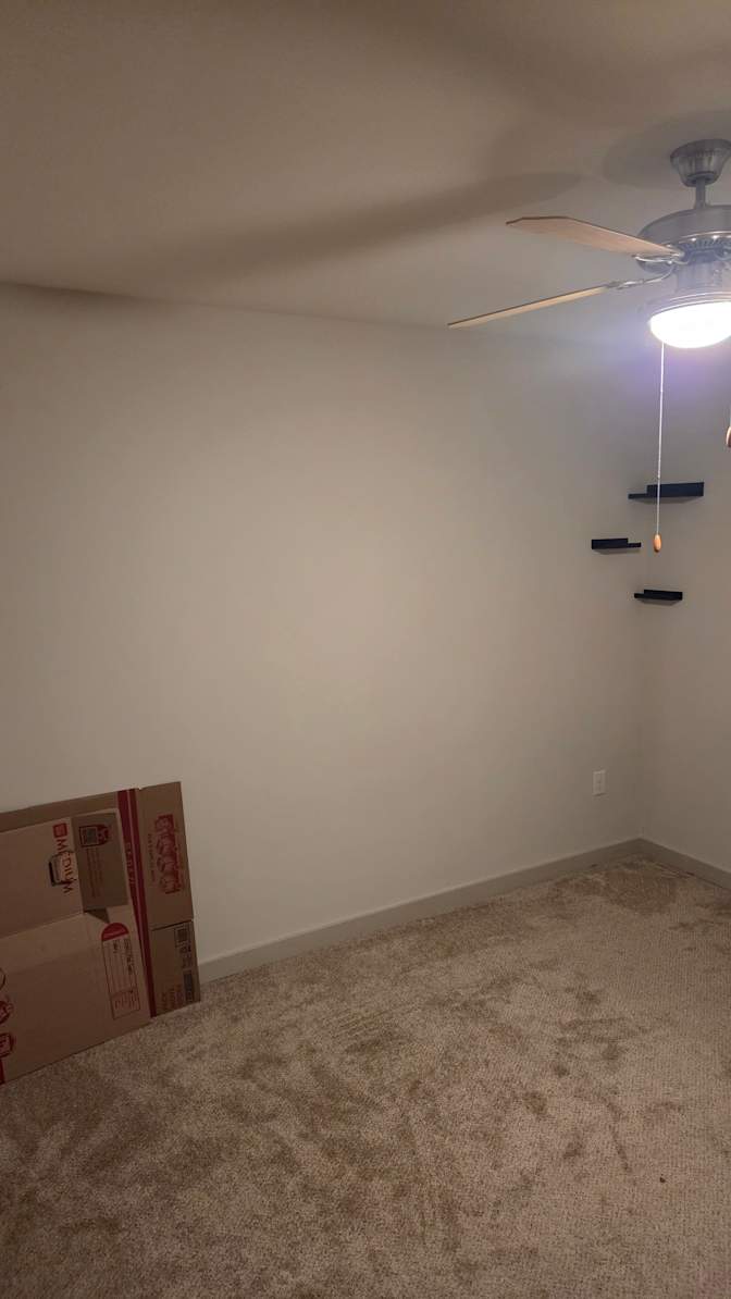Jasmine N Taylor's room