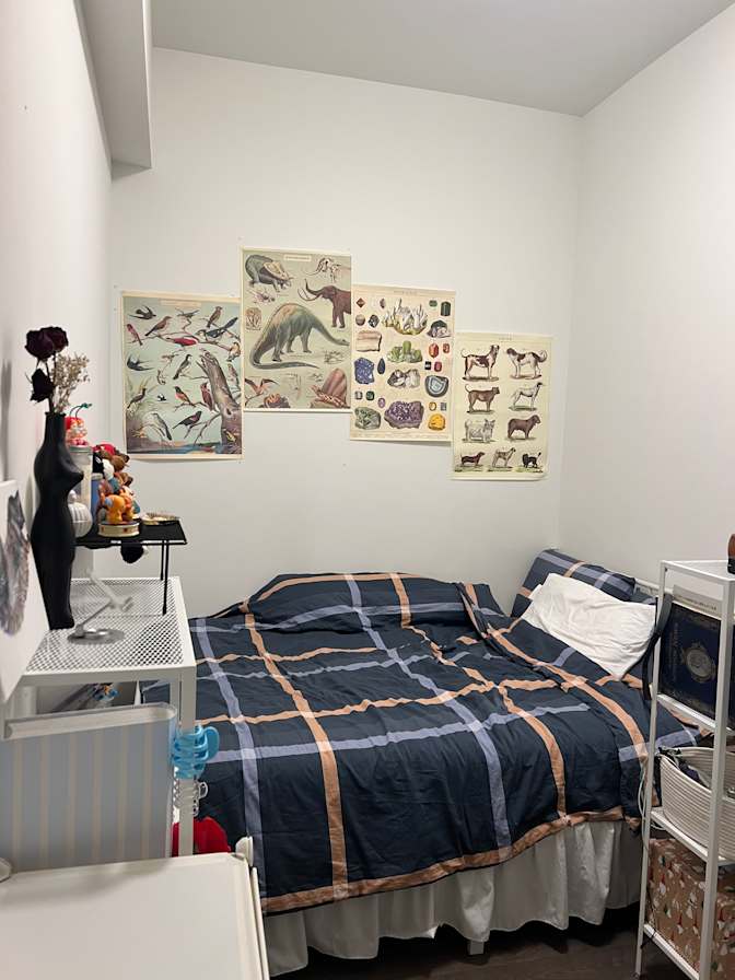 Reisa's room