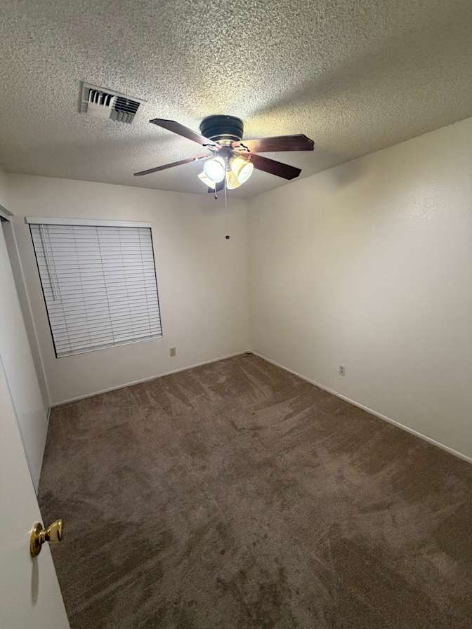 BAILEY's room