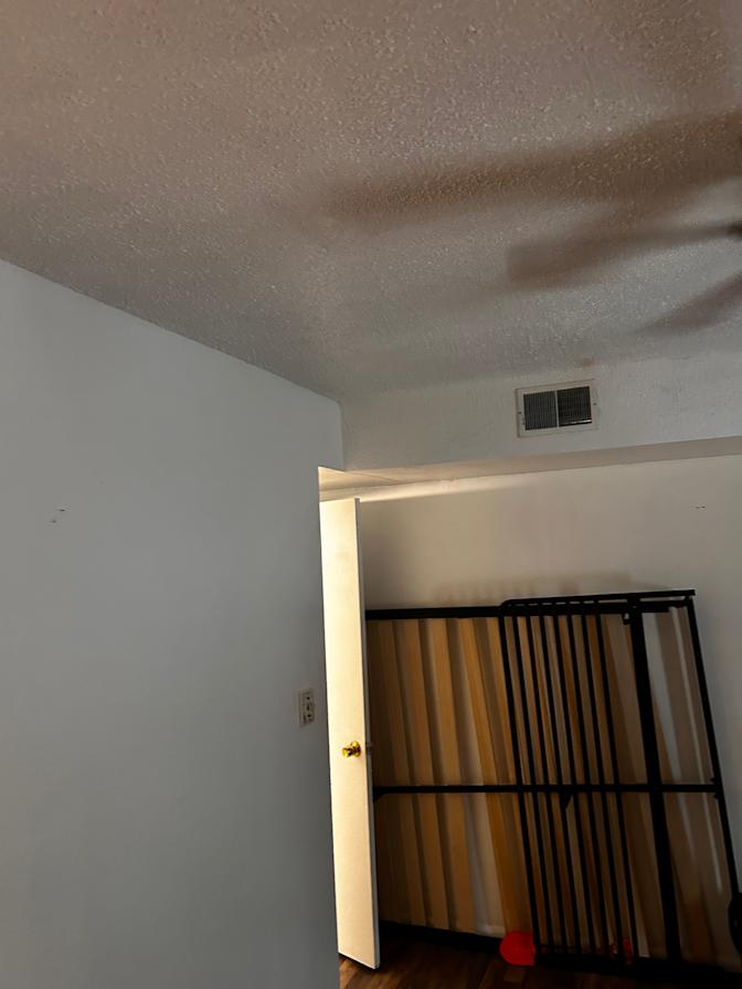 Lamor's room