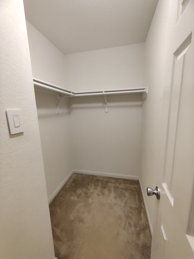 Sophia's room