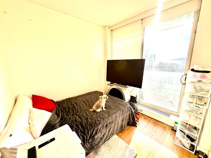 Lee's room