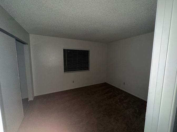 Elif and Ashley's room
