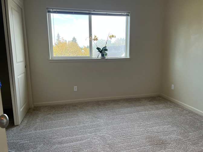 Lisa's room