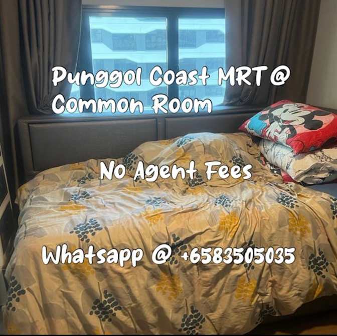 Marshall's room