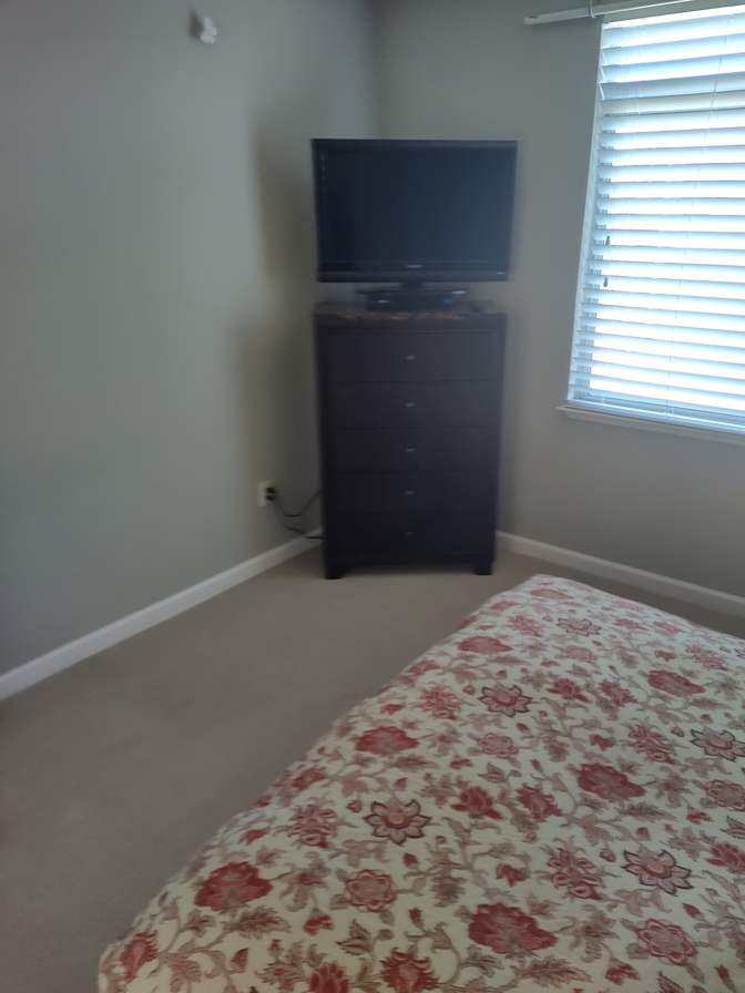 Room for Rent's room