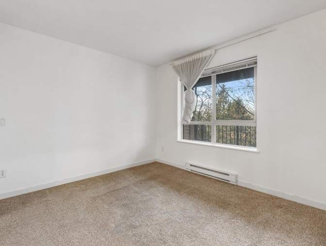 Shane's room