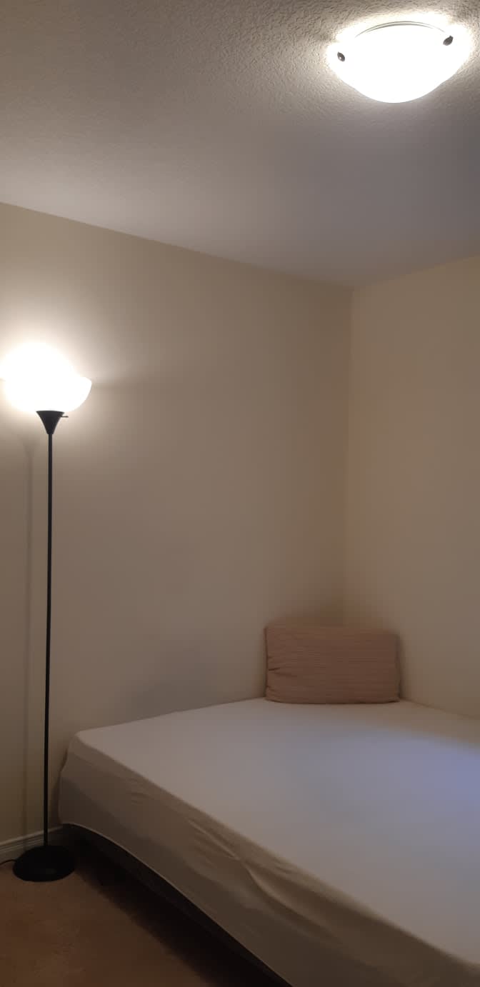 Shaheen's room