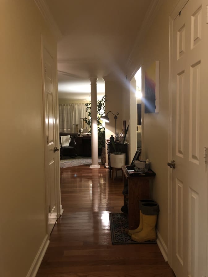 Elizabeth's room