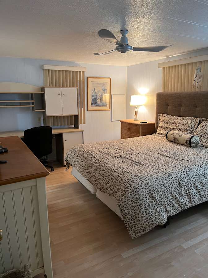 Aviva's room
