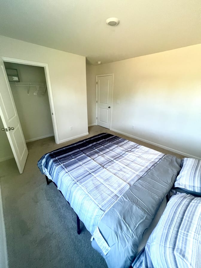 Taz's room