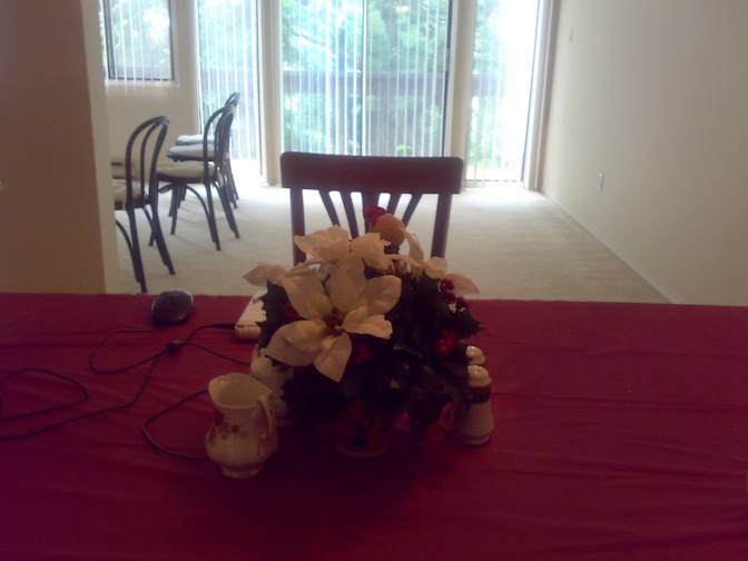Partha (Pat) Banerjee's room