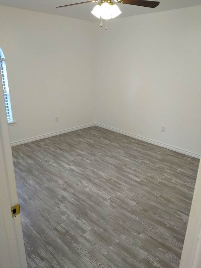 david's room