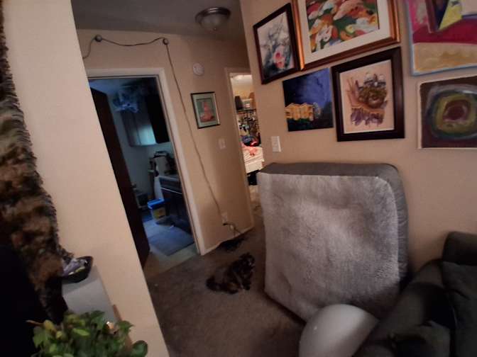 Hunter's room