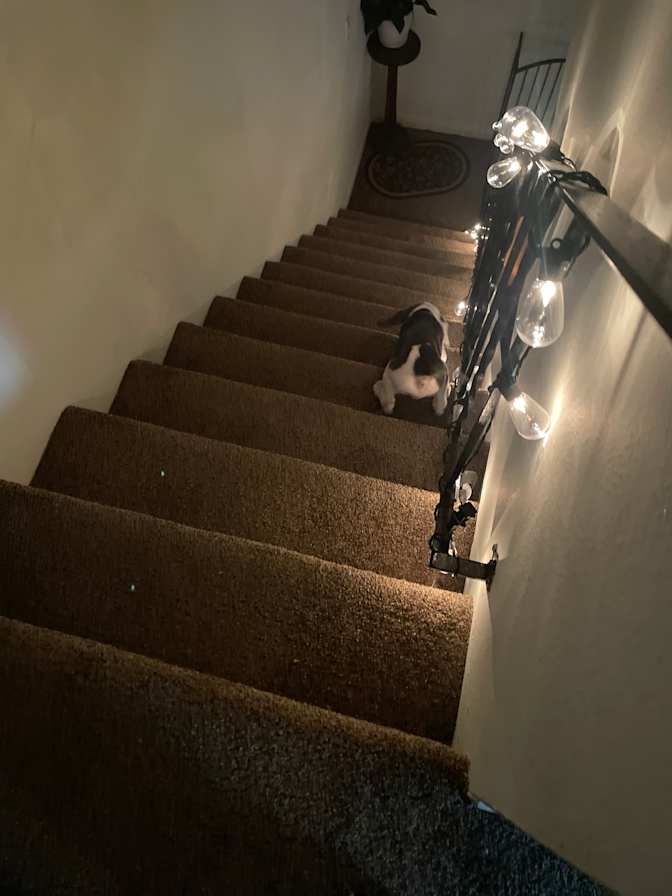 Em's room